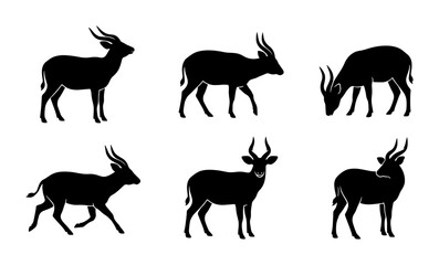 Obraz premium African Antelope Silhouettes, Wildlife Vector Icons, Safari Animal Poses, Grazing and Standing