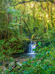 Waterfall in the Forest Vertical Orientation © Kevin