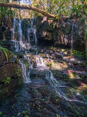 Waterfall in the Forest Vertical Orientation © Kevin