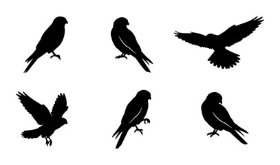 Naklejka premium Bird Silhouettes Collection: Majestic Raptors in Flight and Perched, Vector Icons for Nature and Wildlife