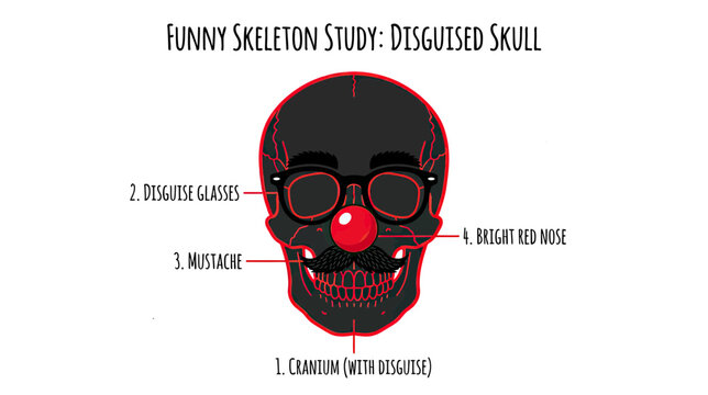Funny Skull Disguised with Glasses and Red Nose