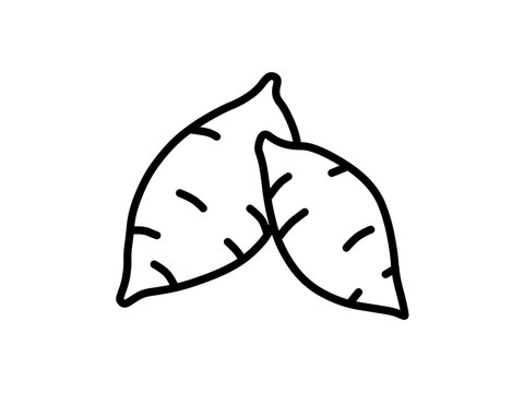 Hand drawn sweet potato line art, autumn vegetable icon, black