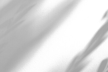 Naklejka premium Abstract natural tree branch leaves shadow on white wall background