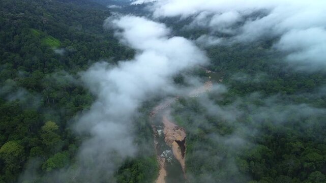 Drone flyover descending toward Sungai Tembeling winding through misty primary tropical rainforest, Al-Sultan Abdullah Royal Tiger Reserve, Pahang, Malaysia