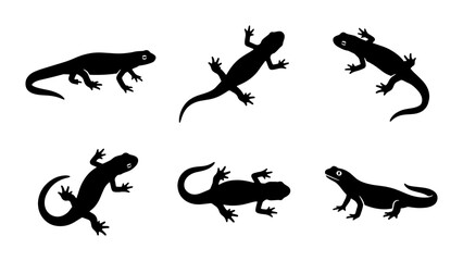 Obraz premium Lizard Silhouettes Collection, Reptile Vector Icons, Animal Graphic Elements, Wildlife Design Assets