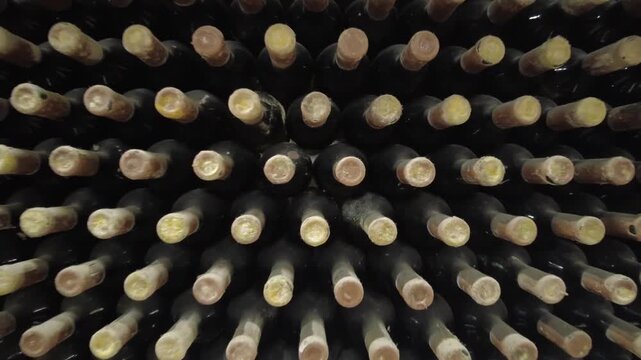 Camera pulls back from wine rack to reveal an expansive cellar filled with numbered collection slots containing vintage bottles.