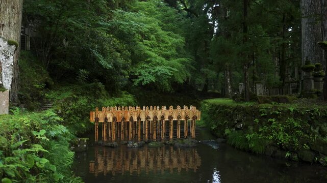 Ryusui Kanjo: Wooden Memorial Stupas in the Tamagawa River, Okunoin, Koyasan, Wakayama, Japan　高野山 奥之院「流水灌頂(りゆうすいかんじょう)」和歌山県高野町