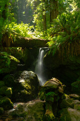 the falls beneath the woods © Scott