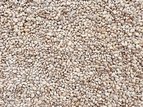 Smooth white gravel background pattern, natural stone floor texture for landscaping or spa concept.