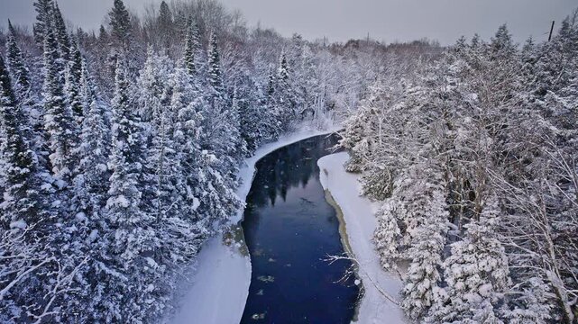 Drone footage featuring a tranquil river meandering through a magical winter forest.