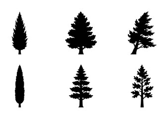 Obraz premium Conifer Tree Silhouettes, Evergreen Pine Forest Icons, Nature Woodland Vector Set