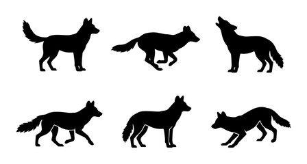 Obraz premium Wolf Silhouette Set, Canine Animal Poses, Wild Predator Vector Icons, Nature Wildlife Graphics