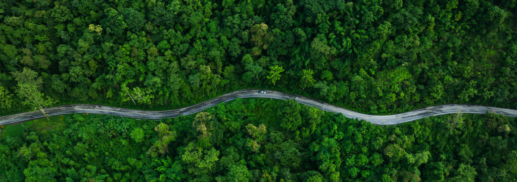 Aerial forest road with car creating abstract background for electric vehicle, ESG, sustainability and green investment business concepts.