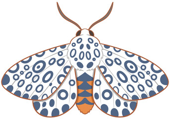 Giant leopard moth illustration displaying distinctive blue spotted pattern © Kitipong
