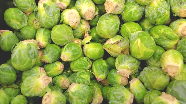 Fresh Brussels Sprouts Pile Close Up Raw Green Vegetables Heap