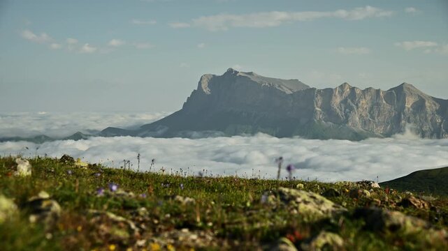 Mountain landscape with clouds and wildflowers, parallax movement to the side