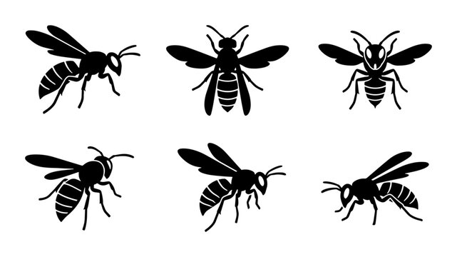 Six Black Wasp Silhouettes, Insect Vector Icons, Flying Stinging Bug Graphics, Nature Wildlife Collection