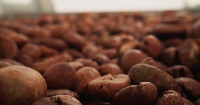 Macro tracking shot of roasted coffee beans sliding across tabletop with shallow depth of field slow dolly forward.