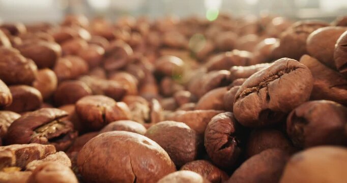 Slow motion close up of roasted coffee beans in roasting tray with shallow depth of field tracking shot.