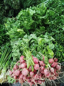 Fresh Radishes and Green Herbs at Tajrish Market in Tehran, Iran