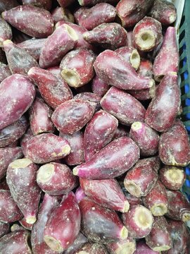 Fresh Purple Eggplants Displayed at Tajrish Market in Tehran, Iran