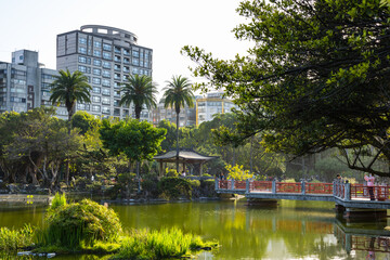 Fototapeta premium Beautiful green park in taipei city