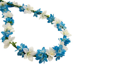 Traditional Hawaiian flower lei necklace with blue blossoms isolated on transparent background © Pendleton-png