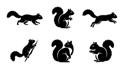Obraz premium Black Silhouette Squirrel Icons Set, Woodland Animal Poses Vector Collection, Cute Rodent Graphic Elements