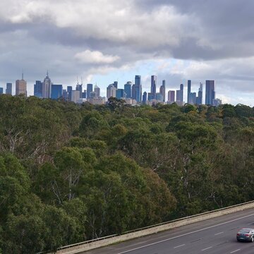 Melbourne Sky Scrapper