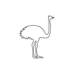 Obraz premium Ostrich Emu Hand Drawn Line Art Vector Icon Illustration