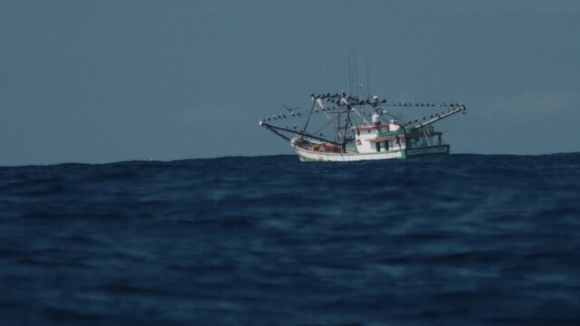 Fishing boat moves in the Atlantic Ocean near the Brazilian shore