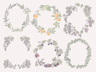 Watercolor Mediterranean Botanical Wreath Collection with Fruits and Herbs © miobuono