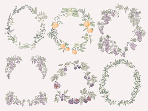 Watercolor Mediterranean Botanical Wreath Collection with Fruits and Herbs
