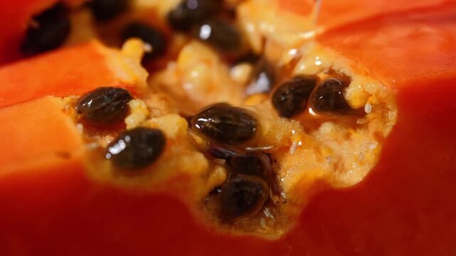 Close-up of ripe papaya flesh and glossy black seeds, showcasing the vibrant orange color and natural texture of this tropical fruit. Rich in vitamins, antioxidants, and dietary fiber, the image is id