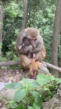 mother and baby