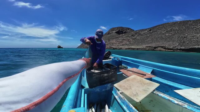Authentic POV-style shot of a skilled fisherman organizing a fresh fish harvest on a small boat during a sunny day at sea. Proudly shows off the size of the day's catch and compares sizez of fishes