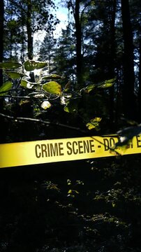 Yellow Crime Scene Do Not Enter tape cordoning off a section of a dark forest, with bright sunlight filtering through the trees and creating a lens flare in the background