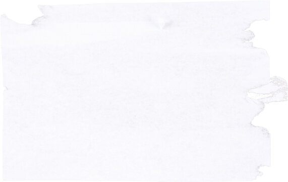 Wide rectangular ripped white paper sheet with rough torn edge