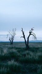 Obraz premium Resilient landscape solitude vast grasses meet distant hills under soft sky light evokes peaceful strength