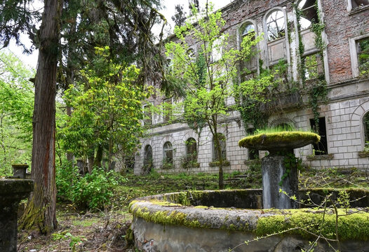 A ruined building surrounded by lush greenery