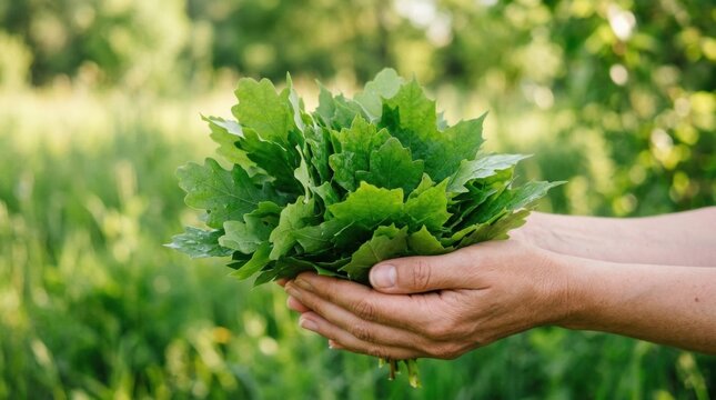 Pair hands holding bunch green leaves Nature's Embrace: fresh against a blurred
