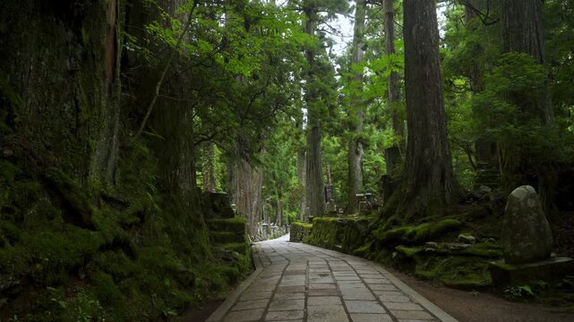 Okunoin, the Sacred Cemetery and Mausoleum of Kobo Daishi, Koyasan, Wakayama, Japan　高野山「奥之院」和歌山県高野町