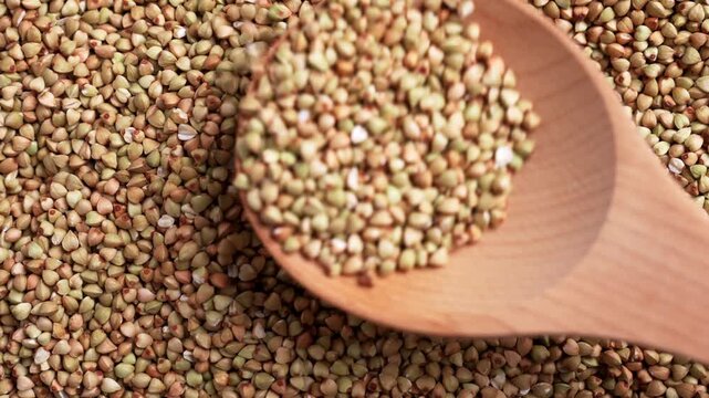 Wooden rustic spoon scooping raw green buckwheat groats close up. Concept of healthy organic nutrition