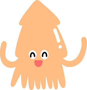 squid cuttlefish