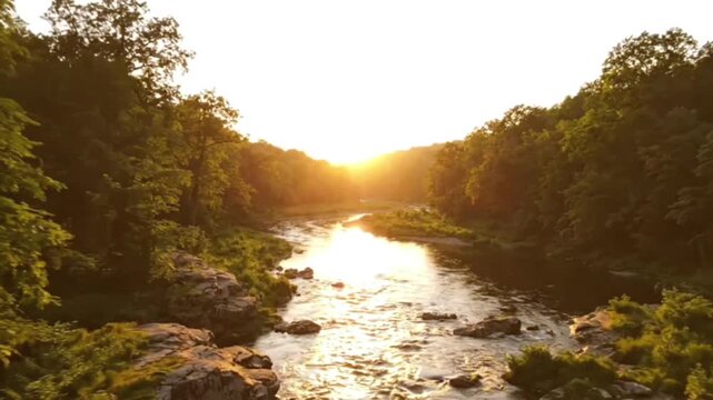Peaceful flowing river winds through lush green forest during golden hour sunset, drone footage captures serene natural landscape.