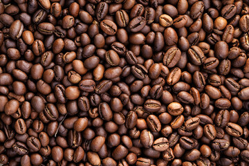 Fototapeta premium Arabica coffee beans from Cuba, macro. Coffee background.