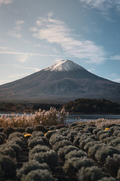 View of Mount Fuji from Lake Kawaguchi during autumn in Japan