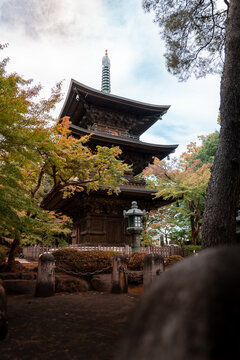 Wooden Pagoda Framed by Autumn Trees in Japan