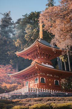 Ornate Japanese Pagoda Amid Autumn Foliage