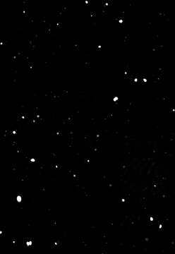 Snowflakes falling on dark black background, isolated winter effect texture.